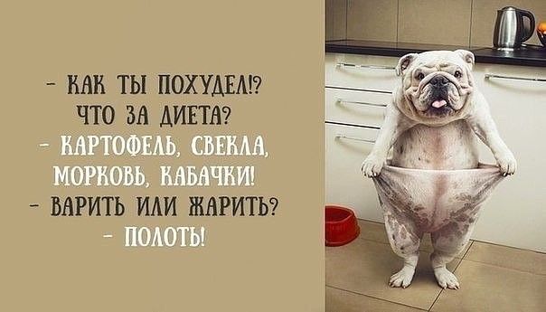 ������� �����.