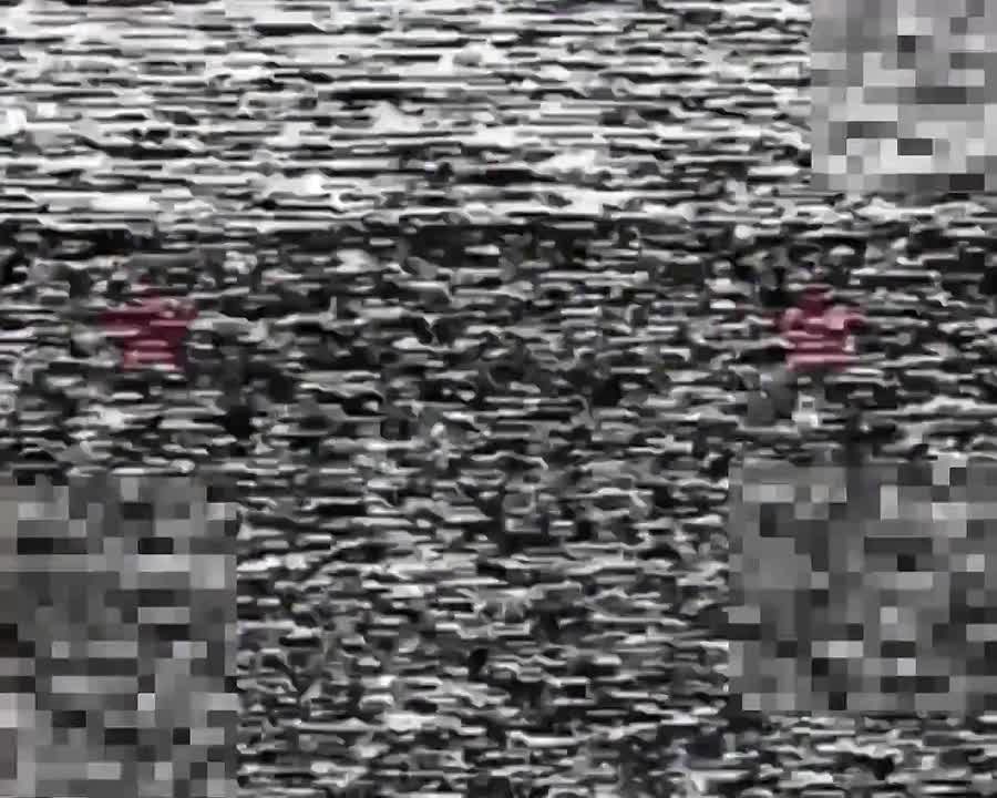  :  ,   