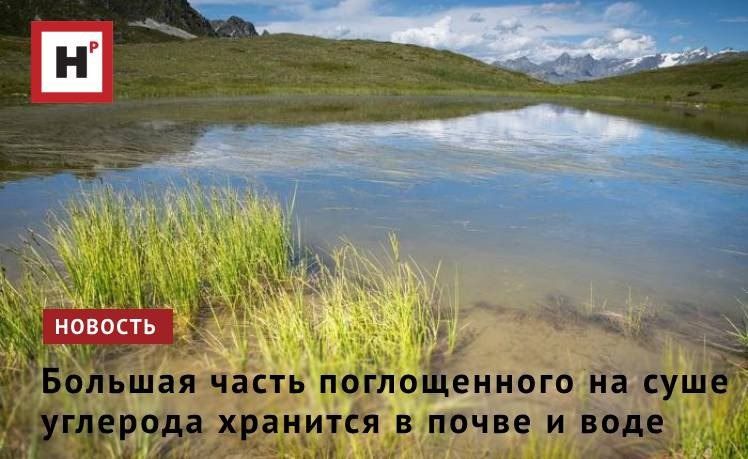 ����� �������� ������������ �������� �� ����������� ����� ������ ��������, ������ ������ ����� ���� ����� � ������������� �������� ����� ��������� ������������: ��������������� � �������� ����������� ���������� �...