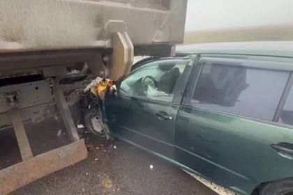 ����� � ������ ��� �� ������ ��������� - ���������� ��������� ��� ���� ������