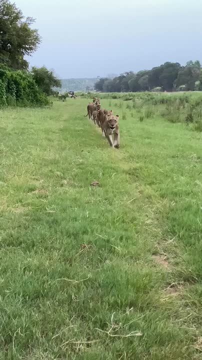 � ������ �����, ���������!