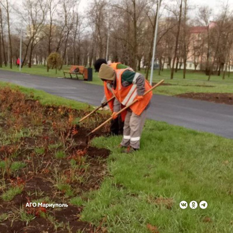 � ���������� ����� ������������� ������� �������� � �������-������� ������