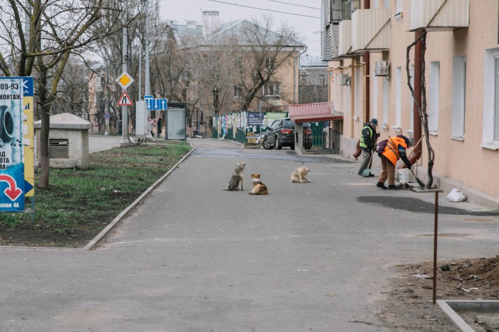 ���� ������: ���������� � ������ ������������ �������� � ���������� ������������ ���������