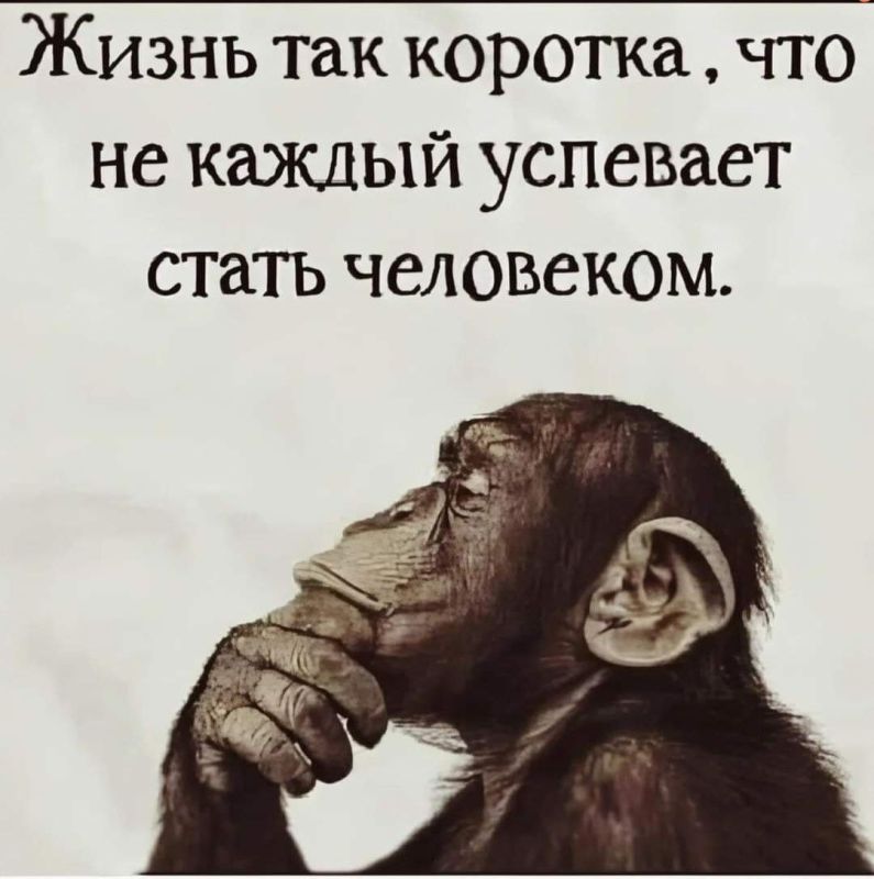 ��������� �����. ���������