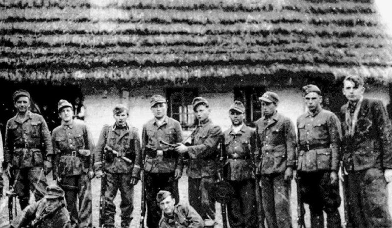 ���������� ��������� ������������ ���������� ��������-����������� � ���-������������ ���