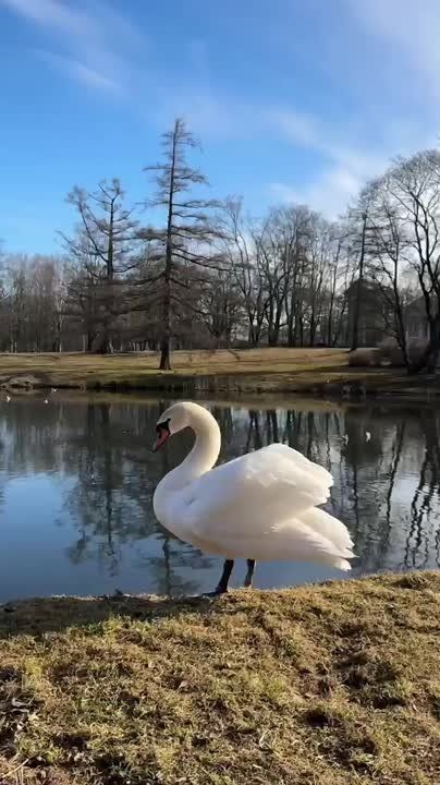 � ������ �����, ���������!