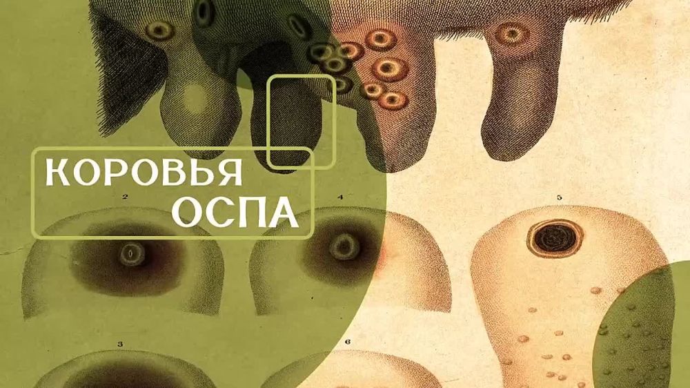� �� �����? �������� 05.04.2025
