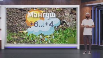    10.04.2025