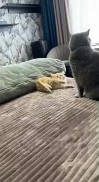  :       