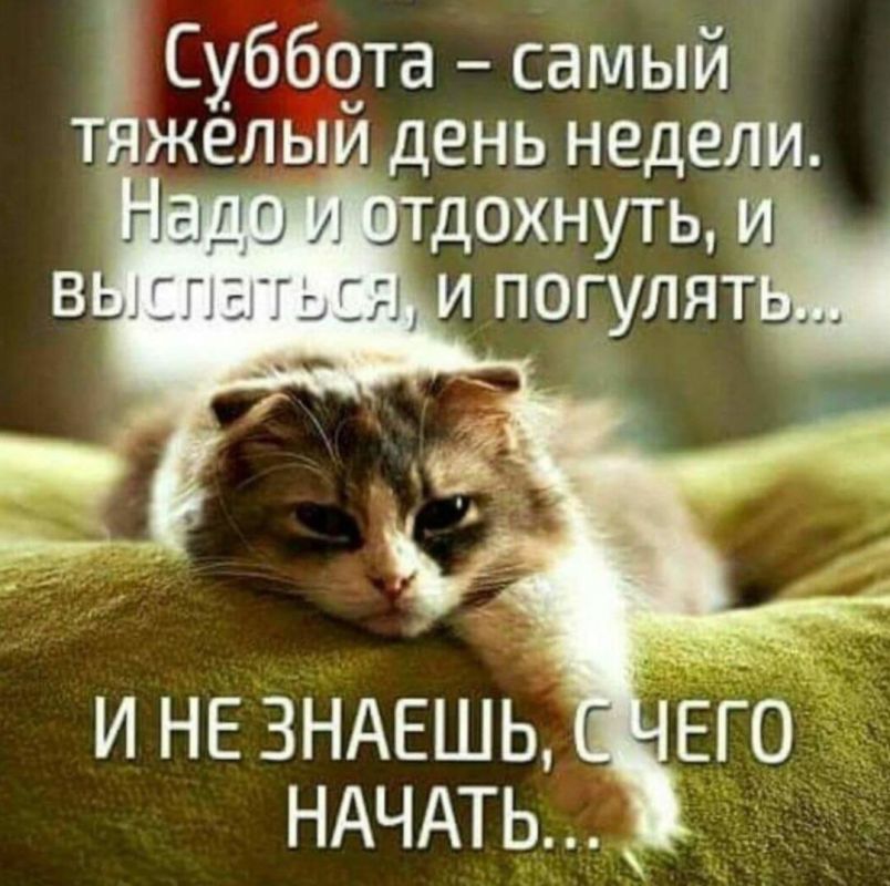 ������� �����.