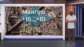    21.04.2025