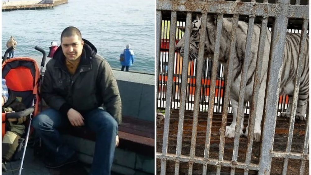 ��������� �� ������ ��� ������� � ������ � ������: � ����� ����������������� ������ ���������� �������������� ��������