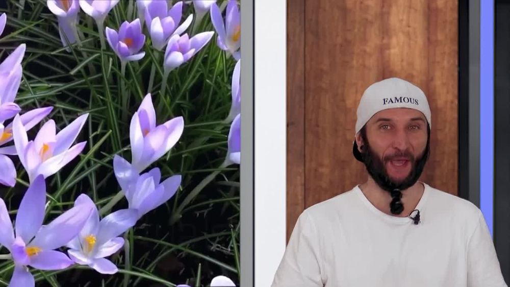������� ������ �� 30.04.2025