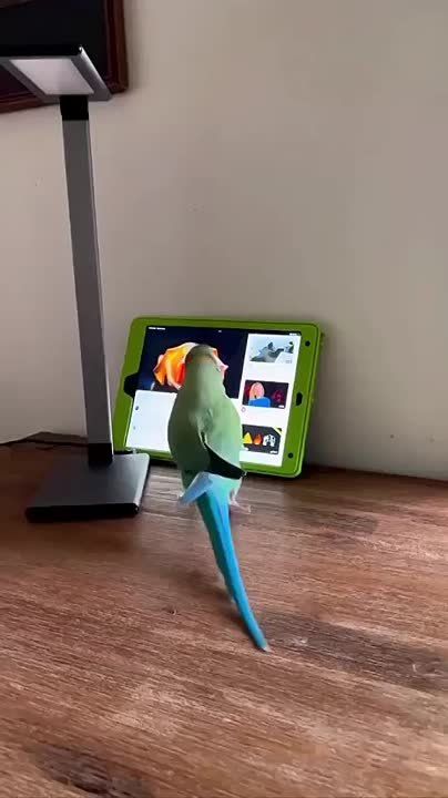 � ������ �����, ���������!