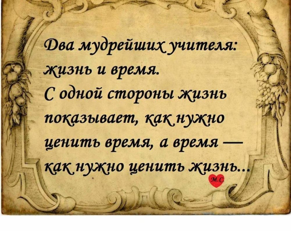 ������ �����. ��������� ���������-24