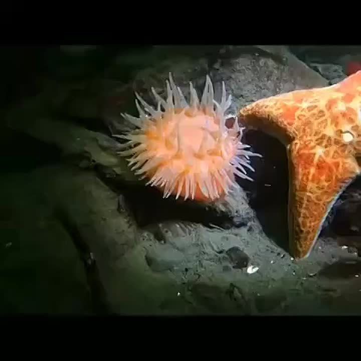  , !