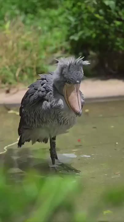  , !