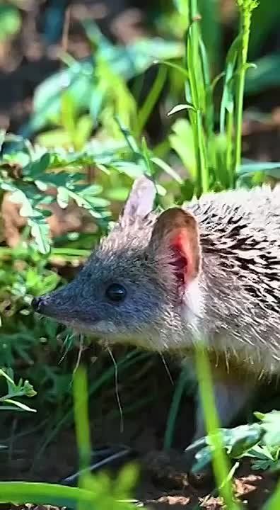  , !. , ,   !    ,     ,       