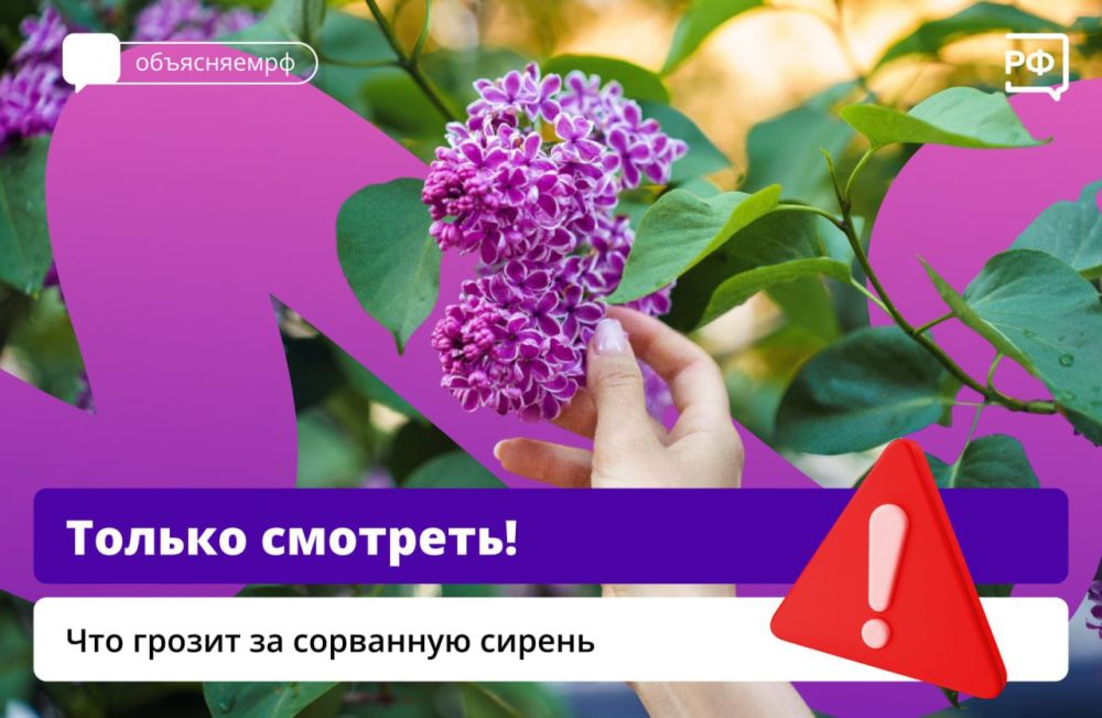 �������� ������ �������� ����� � �����, � ����� � ������
