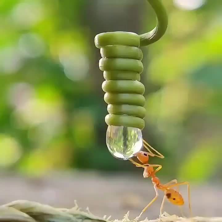   , !
