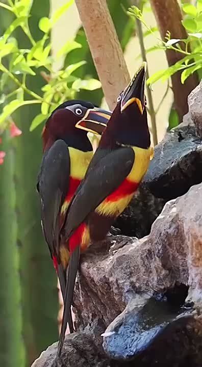 , !.  ,  ,     