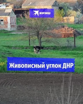  ,    :      