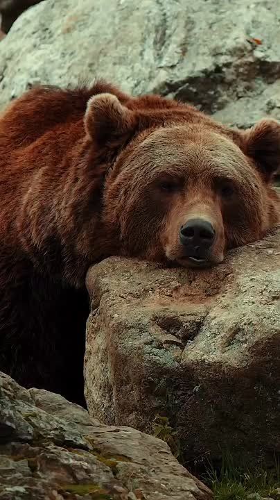  , !