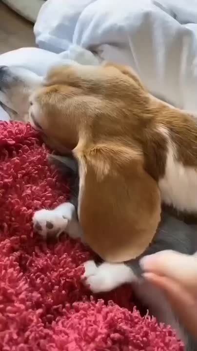  , !
