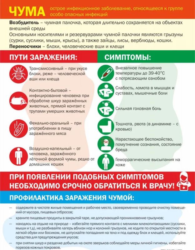           л 