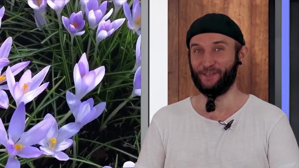    13.06.2025