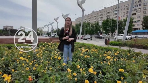   14.06. 3     ! 12     !      