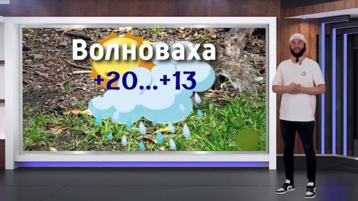    15.06.2025
