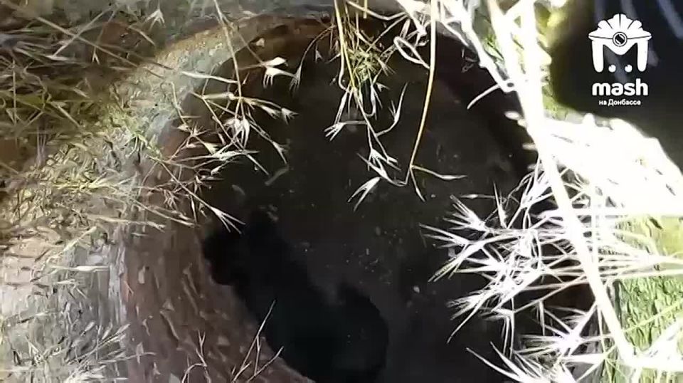 � ��������? � ��, � ����� ������