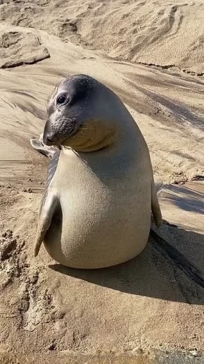  , !.    ,   - 