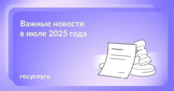     2025 