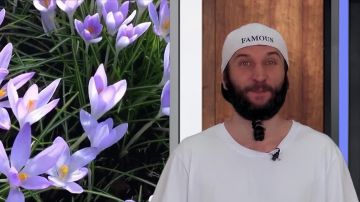    03.07.2025