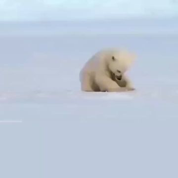  , !