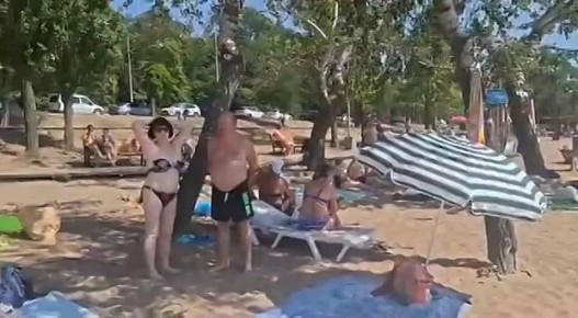    ,     