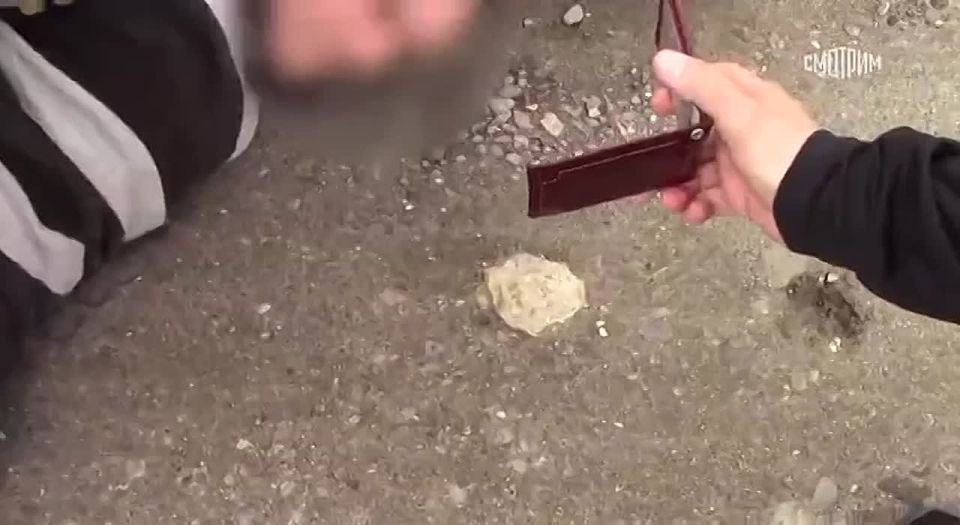           ,              ,   