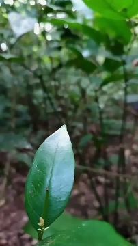  , !