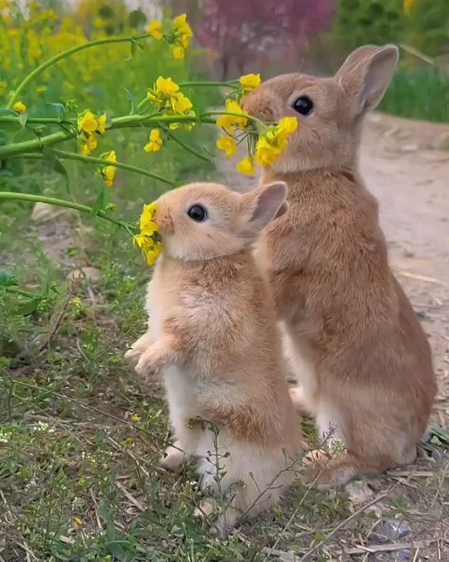  , !.       ,  ,     