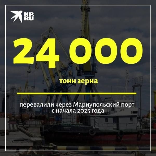 Ѡ 2025      24    