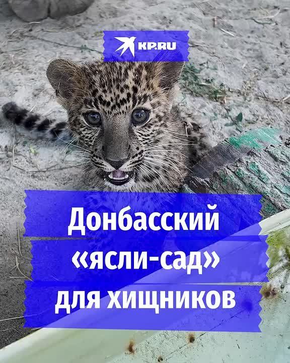  -  :        