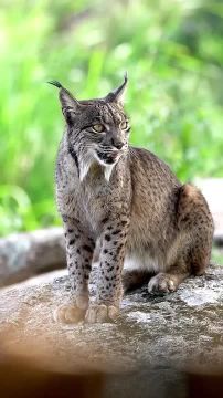  , !. , ,   !    ,     ,       