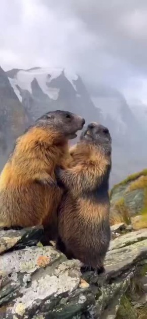  , !.       ,  ,     