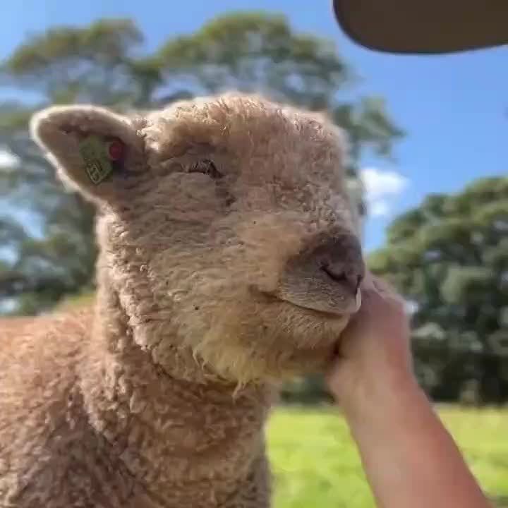  , !.       ,  ,     