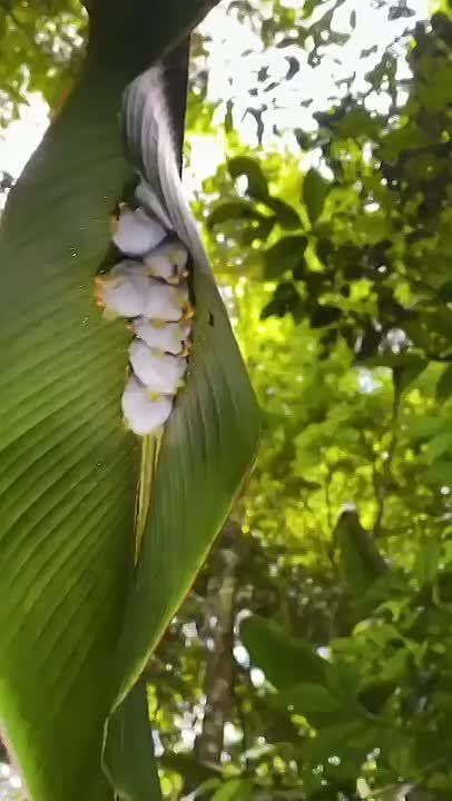  , !
