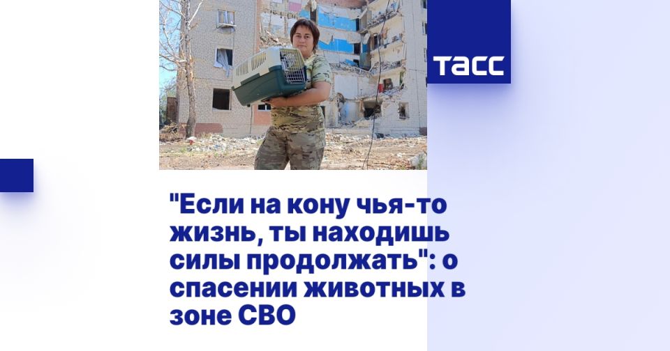 &quot;   - ,    &quot;:      