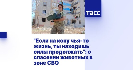 &quot;   - ,    &quot;:      