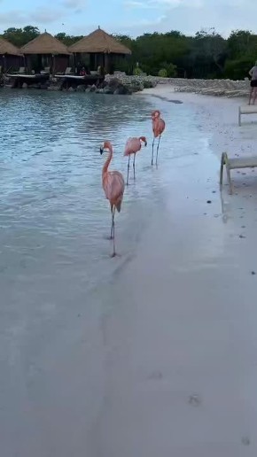  , !